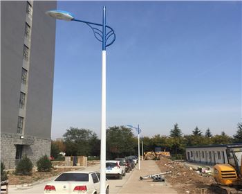 市電路燈-陜西省西安市西北大學長安校區路燈工程